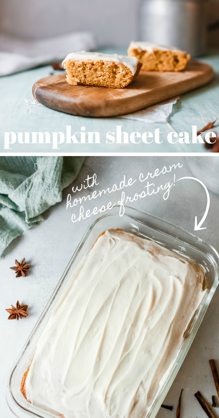 Pumpkin Sheet Cake Recipe - How to Make Pumpkin Sheet Cake